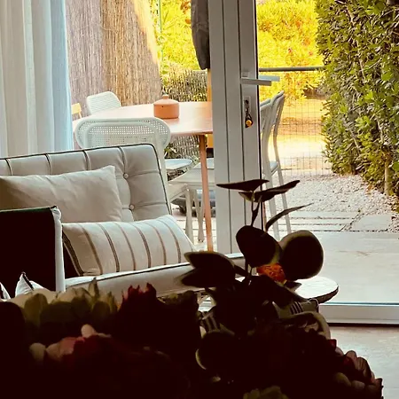 / / Marines De / Saint-tropez Daire