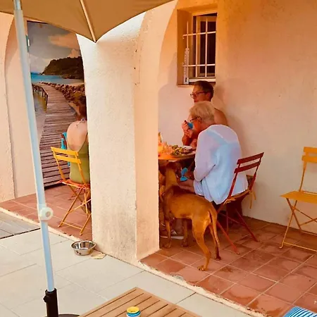 / / Marines De / Saint-tropez